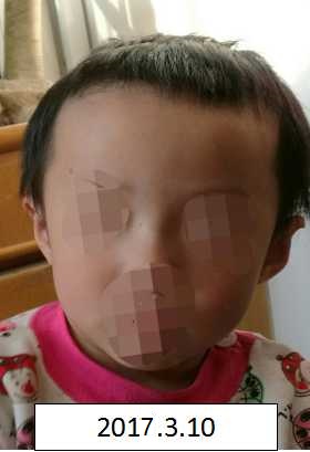 Www艹逼逼视频在线观看